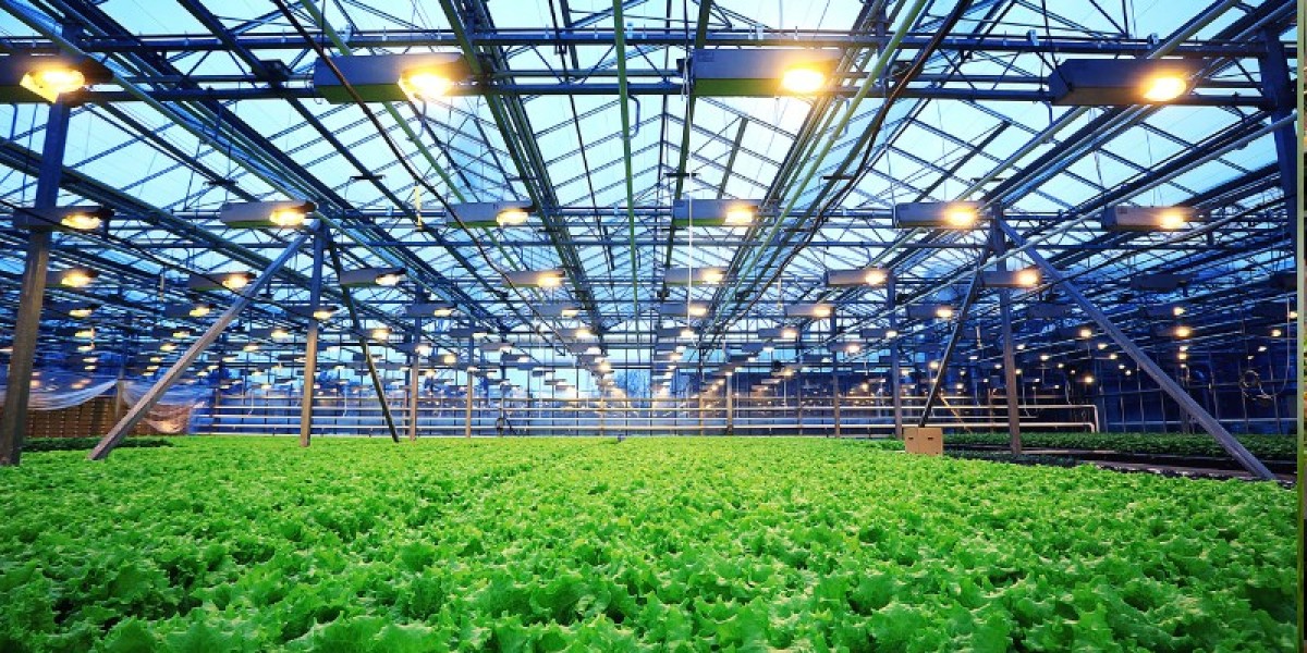 Australia Agribusiness Market: Trends, Growth Drivers, and Future Outlook (2025-2034)